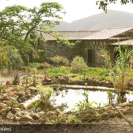Live Finca San Miguel サンミゲル・デ・アボナ エクステリア 写真