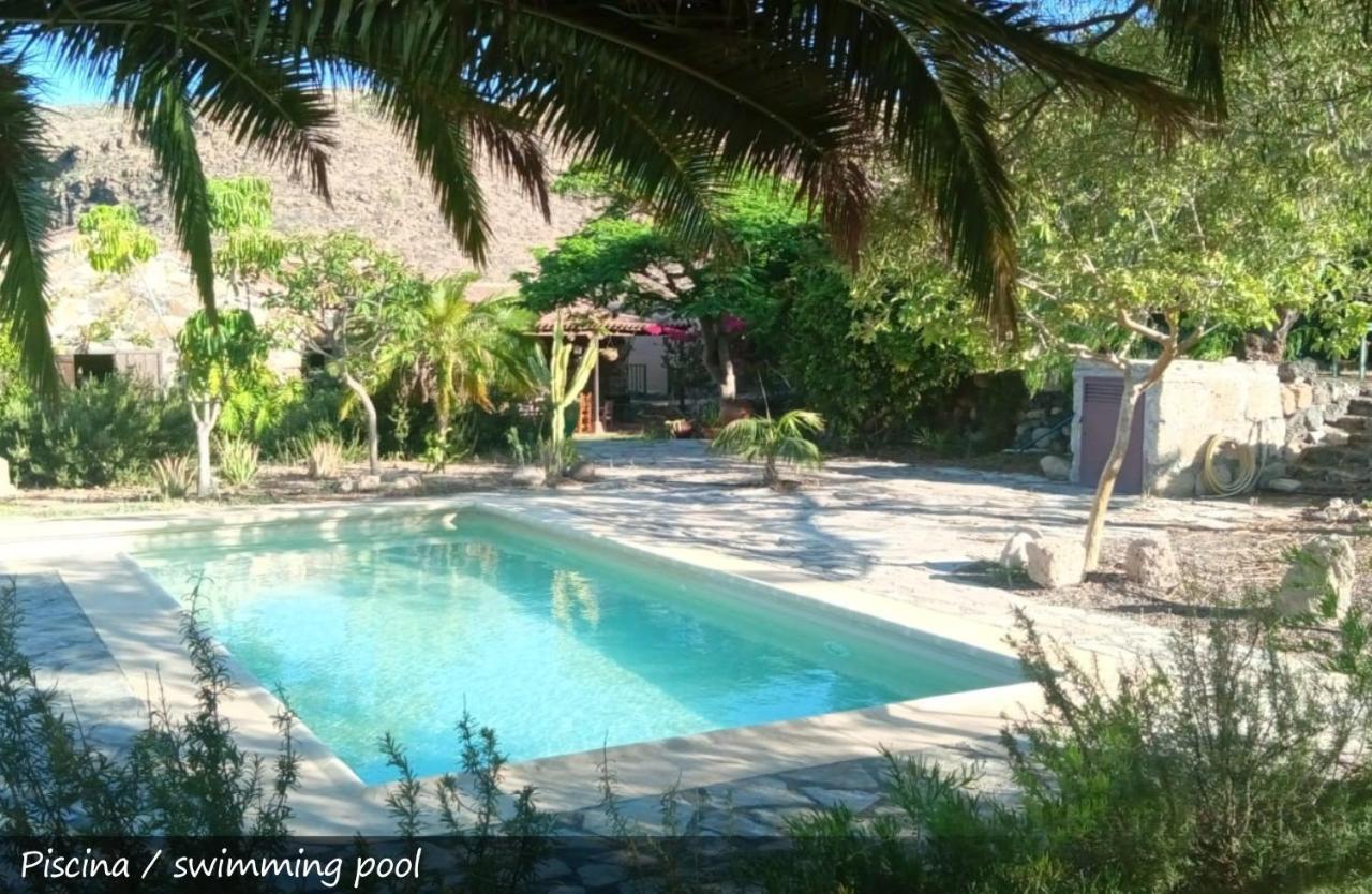 Live Finca San Miguel サンミゲル・デ・アボナ エクステリア 写真