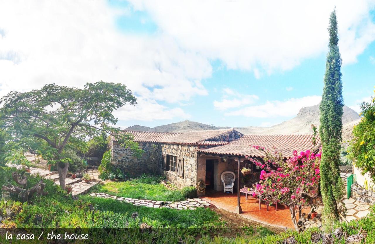 Live Finca San Miguel サンミゲル・デ・アボナ エクステリア 写真